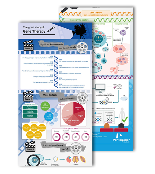 The story of gene therapy